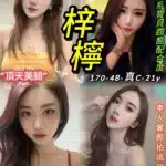 台北定點茶-梓檸/170/48/21/C