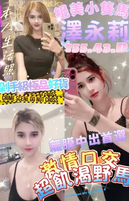 台中定點茶-澤永莉/155/43/?/D