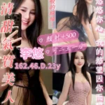 桃園定點茶-李悠/162/46/23/D