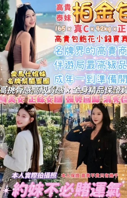 台北定點茶-柏金包/165/42/19/C