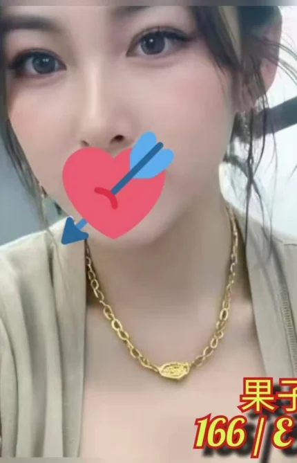 台北外送茶-果子/166/?/25/E