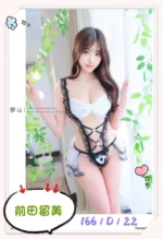 台中外送茶-前田留美/166/?/22/D