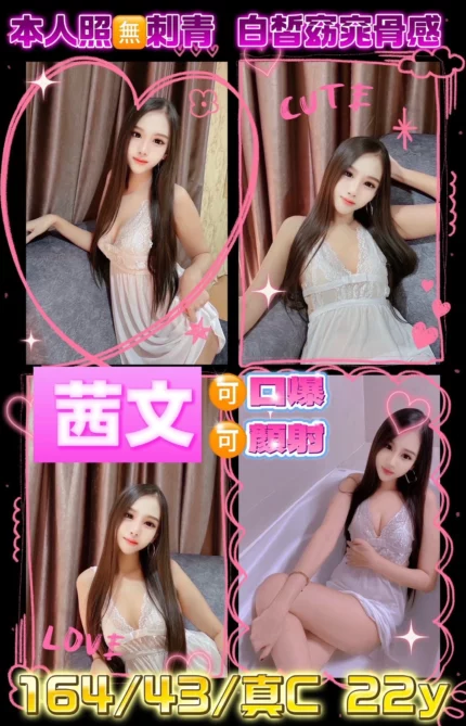 新北定點茶-茜文/164/43/22/C