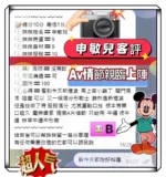 高雄定點茶-申敏兒/161/43/?/E