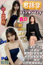 苗栗定點茶-君語音/153/45/22/D