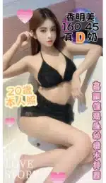 台中定點茶-香明美/160/45/20/D