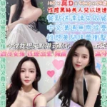 台北定點茶-插騷包/160/46/24/D