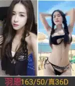 南投定點茶-羽恩/163/50/26/D