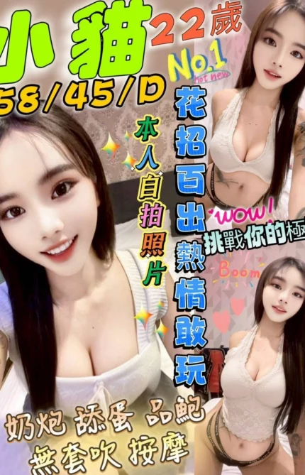 台中定點茶-小貓/158/45/22/D