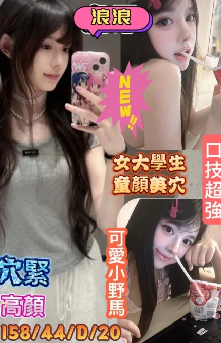 台南定點茶-浪浪/160/44/?/D