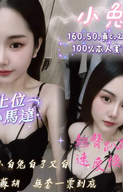 嘉義定點茶-小兔/160/50/23/C