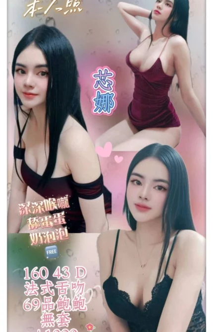 新北定點茶-芯娜/160/43/?/D