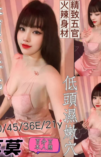 台南定點茶-莫莫/160/45/21/E