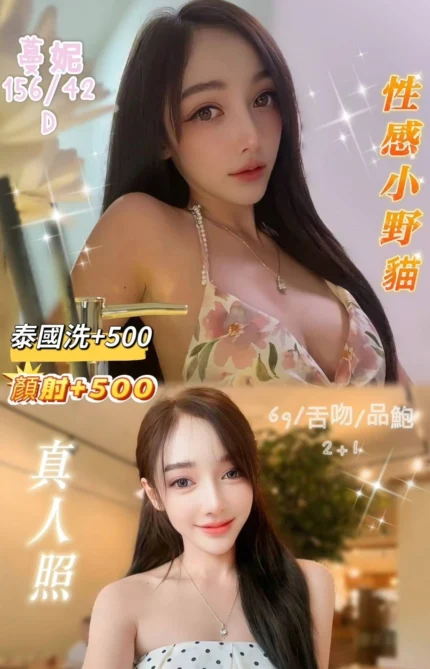 新北定點茶-蔓妮/156/42/?/D