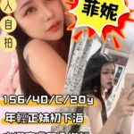 新竹定點茶-菲妮/157/40/20/C