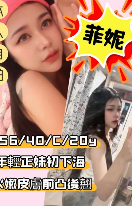 新竹定點茶-菲妮/157/40/20/C