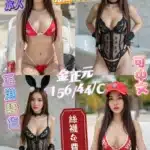 高雄定點茶-金正元/156/44/25/C