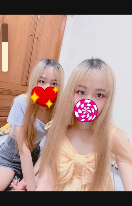 新竹定點茶-餅乾/158/40/18/B