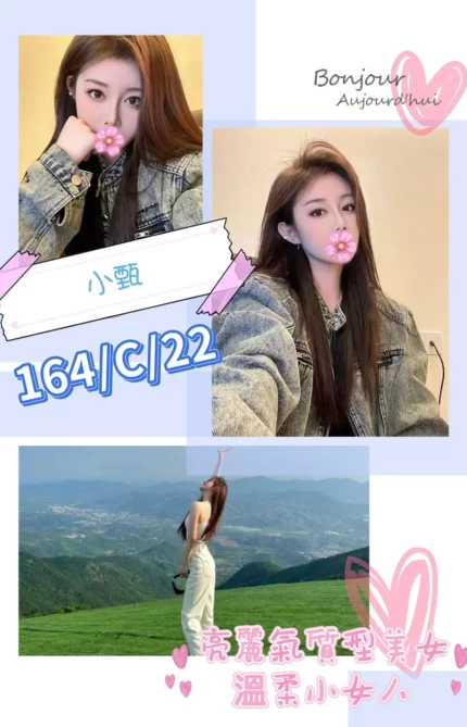 台北外送茶-小甄/164/?/22/C