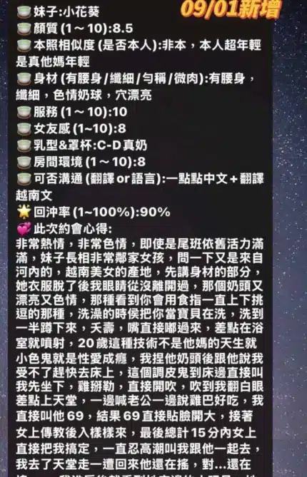 台南定點茶-小花葵/160/46/19/E