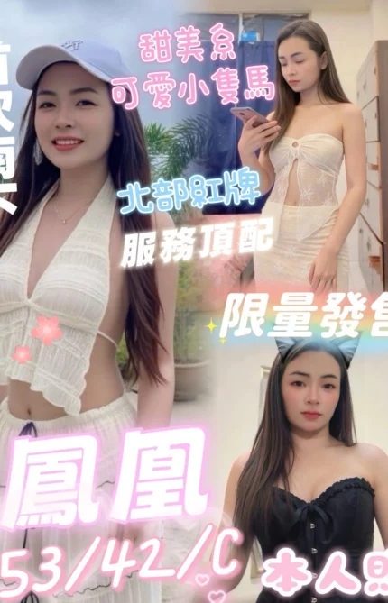 屏東定點茶-鳳凰/153/42/?/C