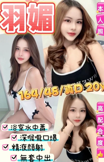 新北定點茶-羽媚/164/48/20/D