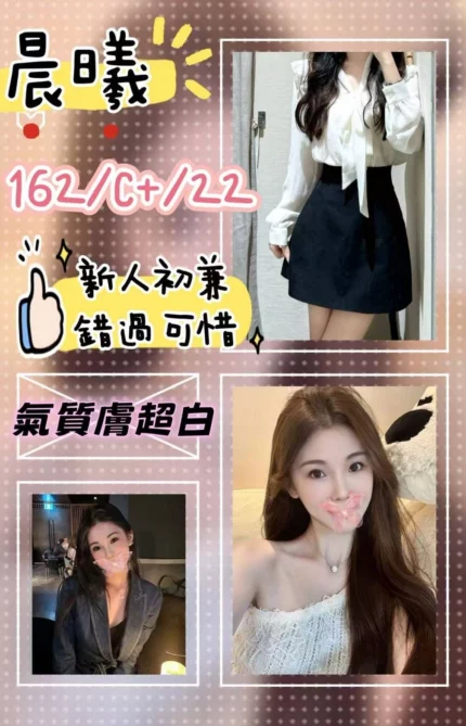 台北外送茶-晨曦/162/?/22/C