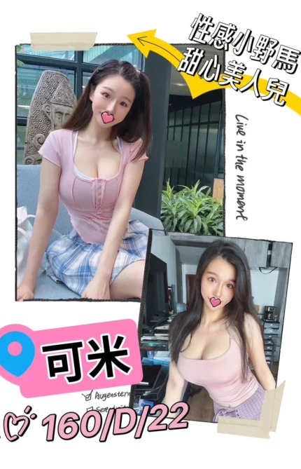 台北外送茶-可米/160/?/22/D