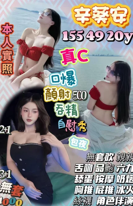 桃園定點茶-辛葵安/155/49/20/C