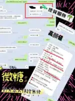 新竹定點茶-微糖/155/44/22/E