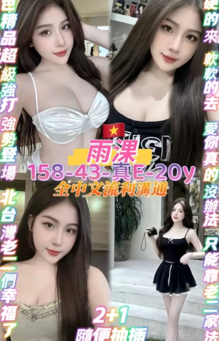 桃園定點茶-雨淉/158/43/20/E