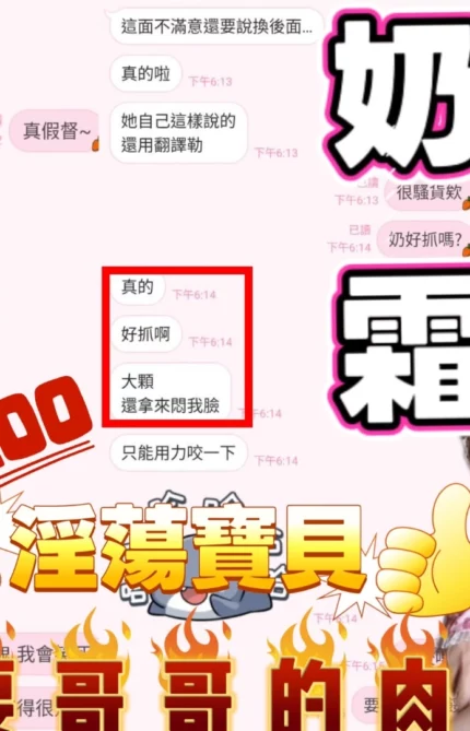 新竹定點茶-奶霜/160/50/?/G