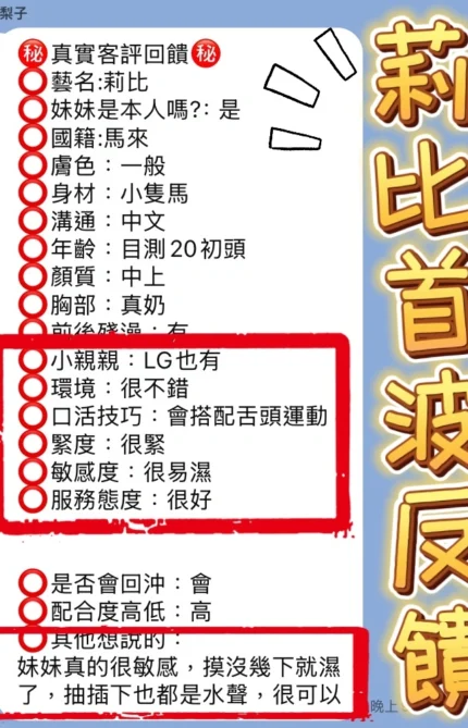 台中定點茶-莉比/153/42/20/C