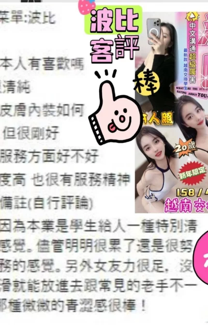 台中定點茶-波比/158/43/20/D