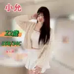 台中定點茶,外送茶-小允/168/?/22/C