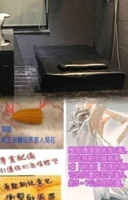 桃園定點茶-若云/164/52/28/D