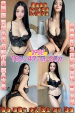 桃園定點茶-許妮/162/47/23/G