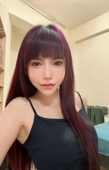 嘉義定點茶-三千代/155/44/22/C