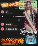 台南定點茶-兔兔/160/45/22/C