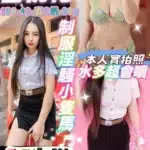 新北定點茶-白桃花/150/42/20/C