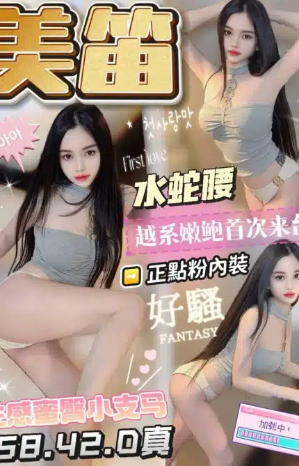 台中定點茶-美笛/158/42/?/D