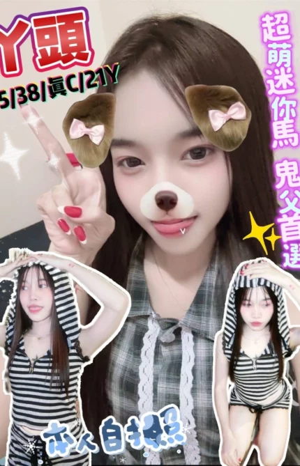 新北定點茶-丫頭/145/38/21/C