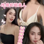 台北定點茶-裘妮/156/42/27/C