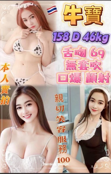 新北定點茶-牛寶/158/46/24/D