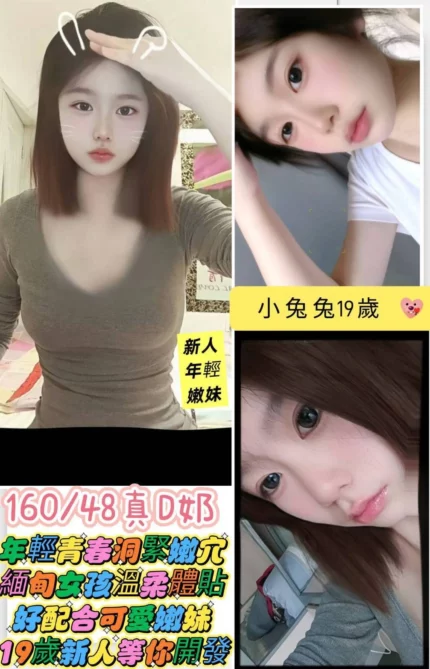 台南定點茶-小兔兔/160/48/19/C