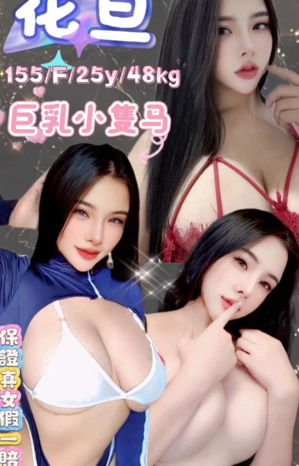 台北定點茶-花旦/155/48/25/F