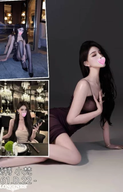 台中外送茶-小梵/161/?/22/D