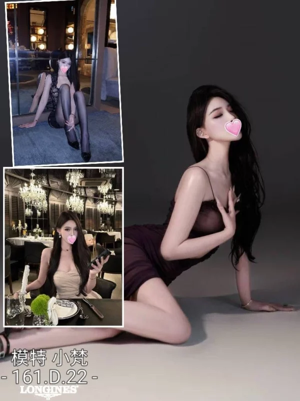 台中外送茶-小梵/161/?/22/D