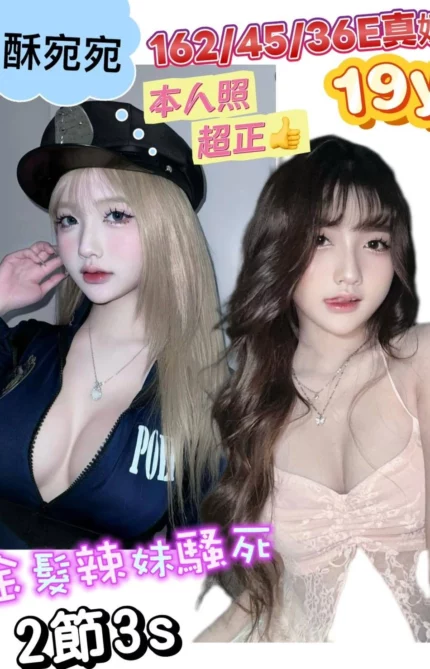 台南定點茶-酥宛宛/162/45/19/E