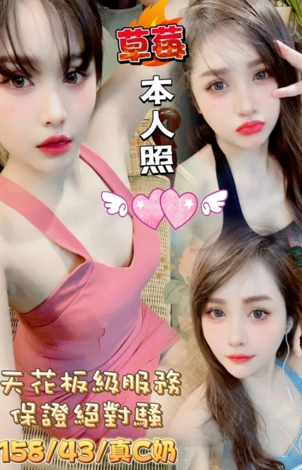 嘉義定點茶-草莓/158/43/22/C